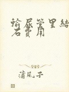 输尿管里结石碎石费用