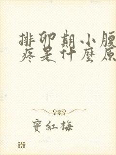 排卵期小腹左边疼是什么原因女性