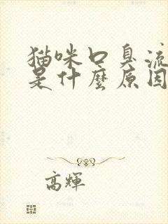 猫咪口臭流口水是什么原因