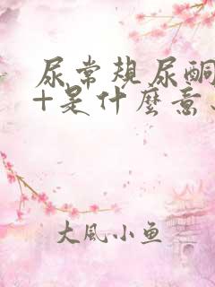 尿常规尿酮体1+是什么意思