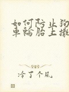 如何防止狗在汽车轮胎上撒尿