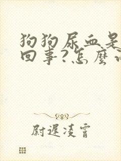 狗狗尿血是怎么回事?怎么治疗