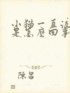 小猫一直流鼻涕是怎么回事