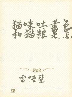 猫咪吐黄色液体和猫粮是怎么回事