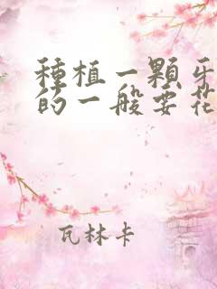 种植一颗牙普通的一般要花多少钱