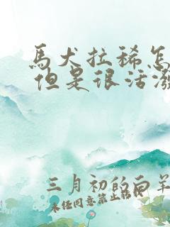 马犬拉稀怎么办 但是很活泼