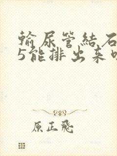 输尿管结石0.5能排出来吗