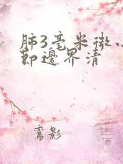 肺3毫米微小结节边界清