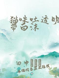 猫咪吐透明液体带白沫