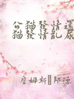 公猫发情还是母猫发情乱尿