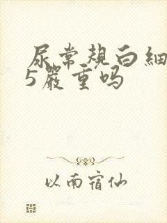 尿常规白细胞35严重吗