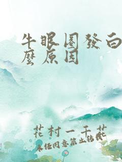 牛眼圈发白是什么原因