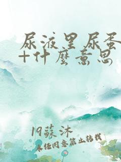 尿液里尿蛋白1+什么意思