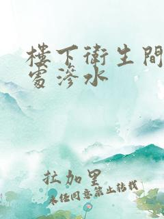 楼下卫生间管道处渗水