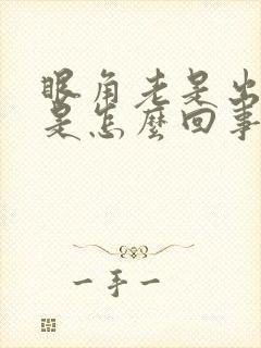 眼角老是出眼屎是怎么回事