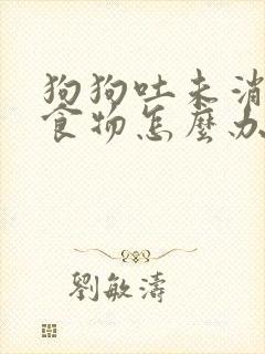 狗狗吐未消化的食物怎么办