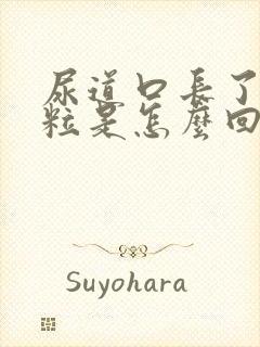 尿道口长了小肉粒是怎么回事