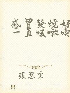 感冒发烧好了后一直咳嗽吃什么药