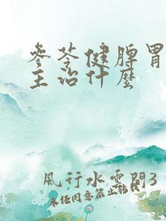 参苓健脾胃颗粒主治什么