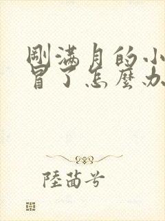 刚满月的小狗感冒了怎么办