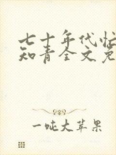 七十年代忙碌小知青全文免费阅读