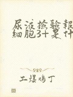 尿液检验报告白细胞3+是什么