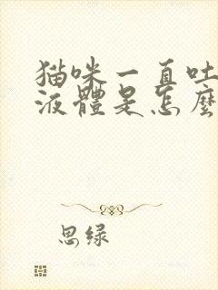 猫咪一直吐黄色液体是怎么回事