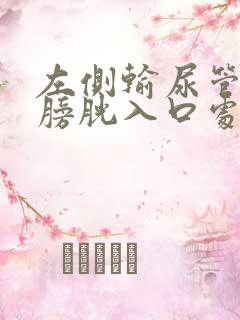 左侧输尿管下段膀胱入口处结石