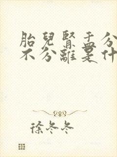 胎儿肾盂分离和不分离是什么意思