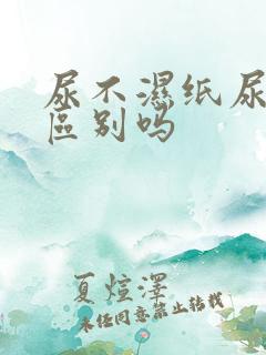 尿不湿纸尿裤有区别吗