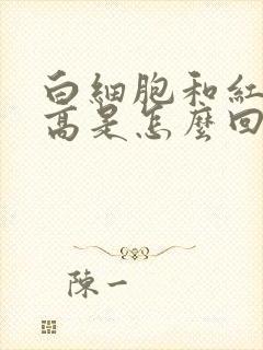 白细胞和红细胞高是怎么回事