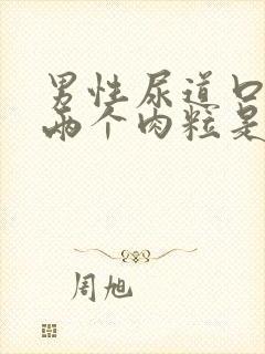 男性尿道口长了两个肉粒是怎么回事