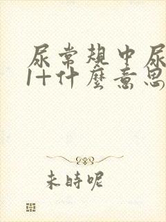 尿常规中尿蛋白1+什么意思