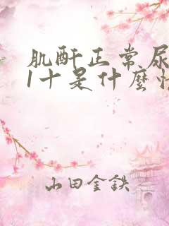 肌酐正常尿蛋白1十是什么情况