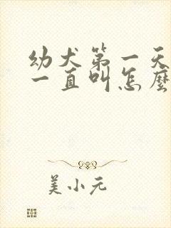 幼犬第一天到家一直叫怎么办