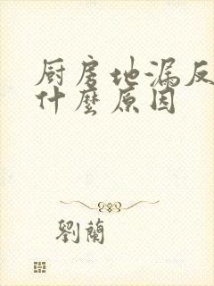 厨房地漏反水是什么原因