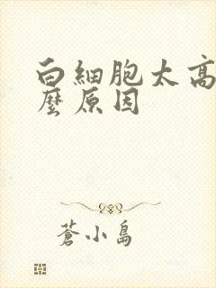 白细胞太高是什么原因