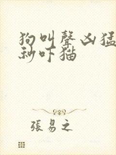 狗叫声凶猛60秒吓猫