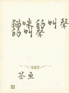 猫咪的叫声猫咪的叫声