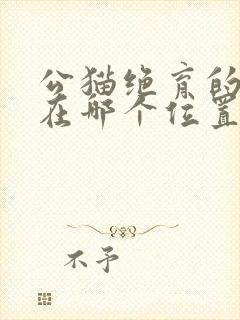 公猫绝育的伤口在哪个位置