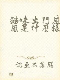 猫咪出门应激反应是什么样的