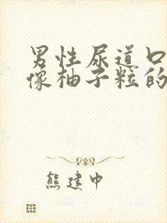 男性尿道口长了像柚子粒的东西