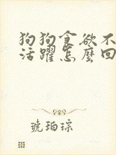 狗狗食欲不振不活跃怎么回事