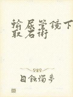 输尿管镜下碎石取石术