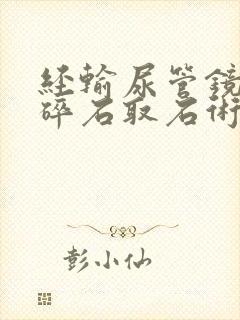 经输尿管镜激光碎石取石术