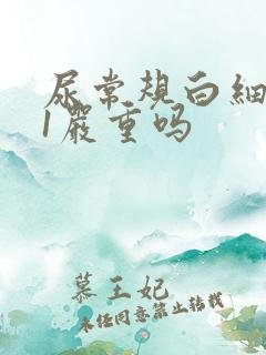 尿常规白细胞41严重吗