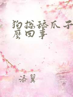 狗总舔爪子是怎么回事