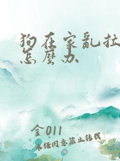 狗在家乱拉乱尿怎么办