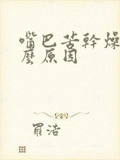 嘴巴苦干燥是什么原因