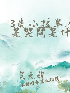 3岁小孩半夜总是哭闹是什么原因